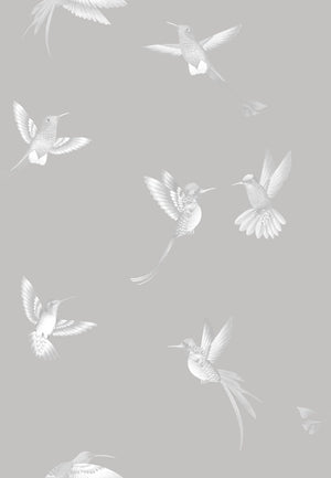 Exotic Birds Wallpaper
