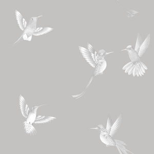Exotic Birds Wallpaper