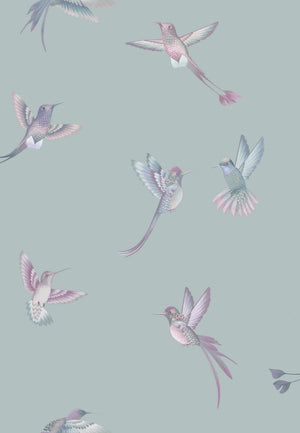 Exotic Birds Wallpaper
