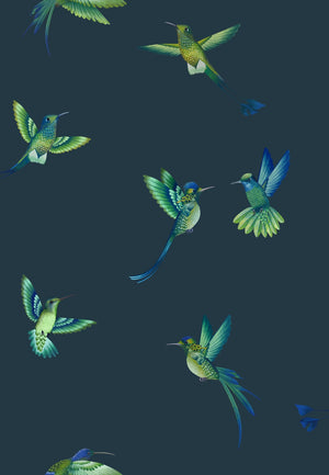 Exotic Birds Wallpaper
