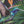 Exotica wallpaper by Victoria Sanders in black, detail of jungle animals and tropical flowers