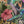 Exotica wallpaper by Victoria Sanders in black, close-up of jungle animals and tropical flowers