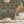 Exotica wallpaper by Victoria Sanders in black, jungle animals and tropical flowers behind a sofa in a living room