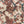 Creeping Trellis Linen