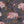 Feather Palm Wallpaper