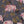 Feather Palm Wallpaper