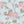 Feather Palm Wallpaper