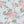 Feather Palm Wallpaper