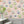 Fine China Wallpaper