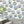 Fine China Wallpaper