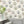 Fine China Wallpaper