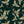 Pachamama wallpaper by Tatie Lou in dark green, full repeat of flying cranes