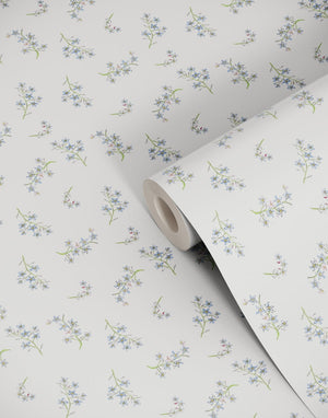 Forget Me Not Wallpaper