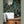 Earth Green Grasscloth