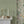 Earth Green Grasscloth