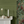 Treetop Green Grasscloth