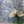 Ditzy wallpaper by House of Amitié in blue, flat sample of fine hand-marbled pattern