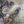 Serpentine wallpaper by House of Amitié in pink and blue, roll showing peacock-feather marbling