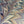 Foxtail Woodstock Coated Mica Wallpaper