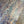 Foxtail Woodstock Coated Mica Wallpaper