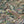 Whirl in Dalloway Wallpaper