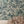 Ditzy wallpaper by House of Amitié in green, pattern sample of fine hand-marbled pattern