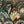 Serpentine wallpaper by House of Amitié in blue and black, pattern sample of peacock-feather marbling (alternate view)
