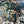 Serpentine wallpaper by House of Amitié in blue and black, full repeat of peacock-feather marbling