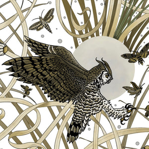 Horned Owl Wallpaper