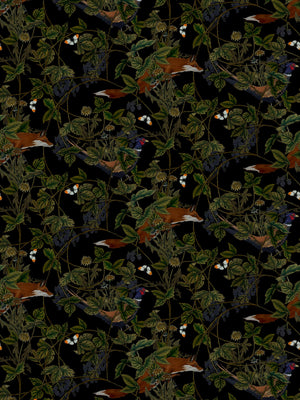 Fox Midnight Wallpaper