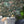 Jungle Life Wallpaper