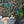 Jungle Life Wallpaper