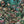 Jungle Life Wallpaper