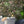 Jungle Life Wallpaper