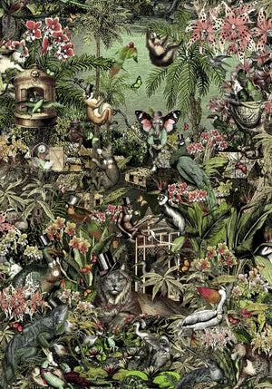 Jungle Life Wallpaper