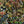 Jungle Life Wallpaper
