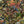 Jungle Life Wallpaper