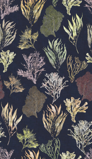 Kelp Forest Wallpaper