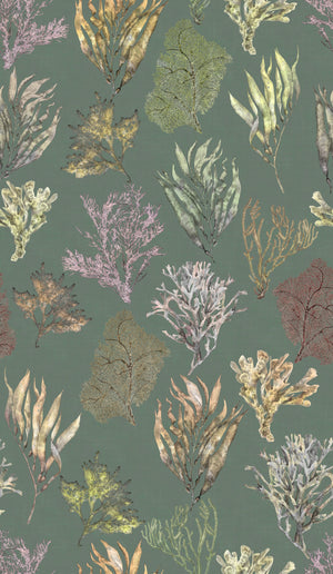Kelp Forest Wallpaper