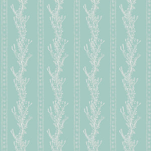 Gatty's Kelp Forest Wallpaper
