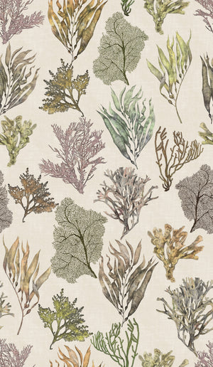 Kelp Forest Wallpaper in Vintage Original wallpaper by XV Interiors in cream and green, full repeat of kelp and seaweed