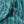 Gatty's Kelp Forest Deep Blue Sea Velvet