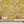 The Lost Garden Wallpaper in India Yellow