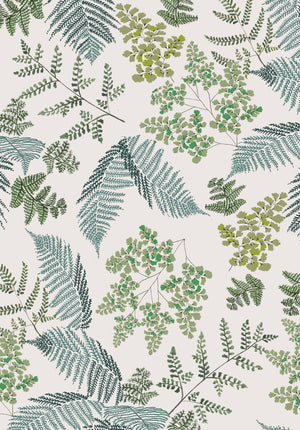 Lace Ferns Wallpaper