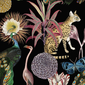 Les Plumes Wallpaper