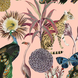Les Plumes Wallpaper