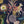 Les Plumes Wallpaper