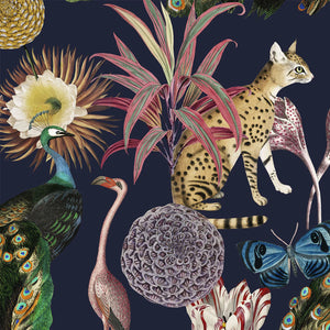 Les Plumes Wallpaper