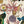 Les Plumes Wallpaper