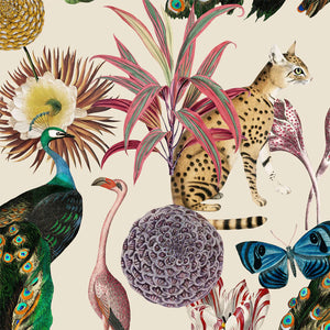 Les Plumes Wallpaper